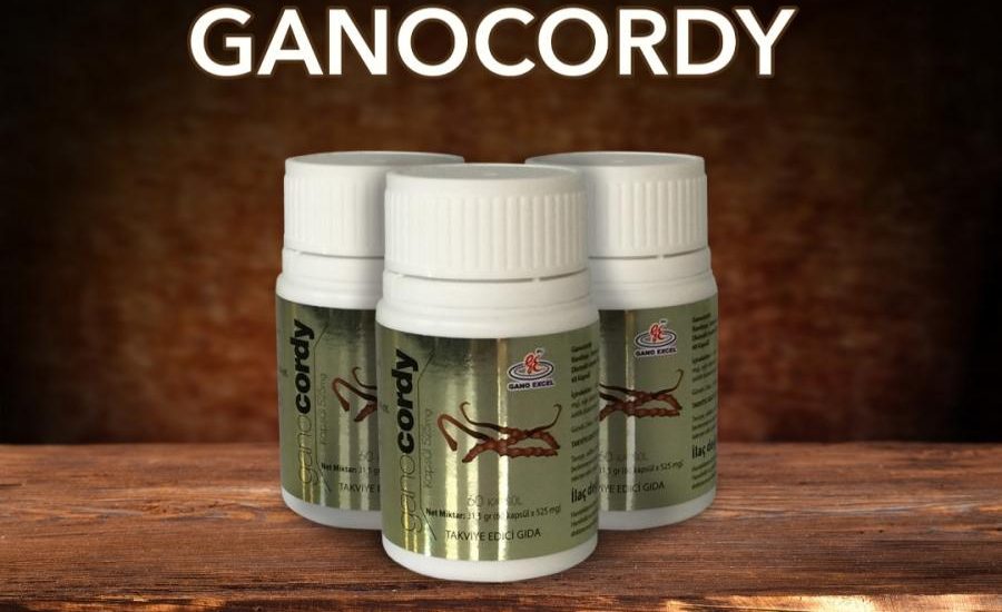 Ganocordy (Tırtıl MANTAR)