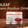 Oleaf Gano Rooibos Drink