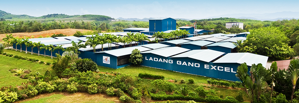 Organik Ganoderma Tarımı