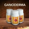Ganoderma 90